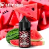 SALT SHAQ 鯊克 - 西瓜 Watermelon (30ml) | 沙瓤口感 Lush Ice | 40mg 丁鹽 夏日解暑神器