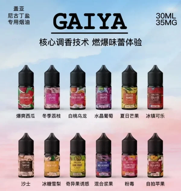 GAIYA 蓋亞煙油 (30ml) | 35mg 柔順高 VG 丁鹽 | 新手友好現貨